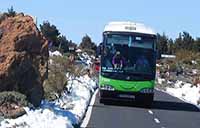 Titsa Public Bus Service Route 342 in Tenerife
