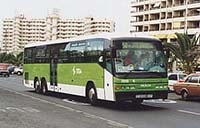 Titsa Public Bus Service Route 450 in Tenerife