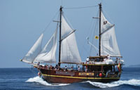 Flipper Uno Boat Trips in Tenerife