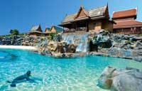 Sea Lion Island at Siam Park in Tenerife