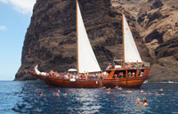 Shogun Boat Trips in Tenerife