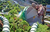 The Dragon at Siam Park in Tenerife